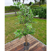 Kunstplant, Ficus Benjamin groen. 170 cm hoog.