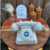 Audio gastenboek crème – boho telefoon gastenboek huren Cremekleurig audio gastenboek met droogbloemen en pampasgras – warme boho opstelling voor bruiloft, verjaardag of jubileum, gasten spreken hun wens in via retro telefoon.