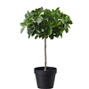 Kunstplant inclusief aluminium pot. 80 cm hoog.