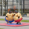 Sumo worstelen volwassenen