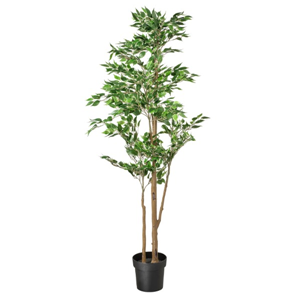 Kunstplant, Ficus Benjamin groen. 170 cm hoog.
